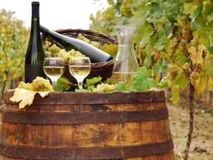 Vendita Case, Monte Roberto