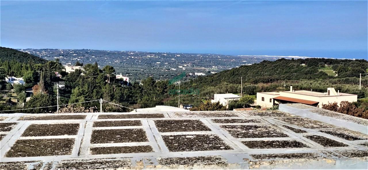 Vendita Eptavani, Monopoli foto