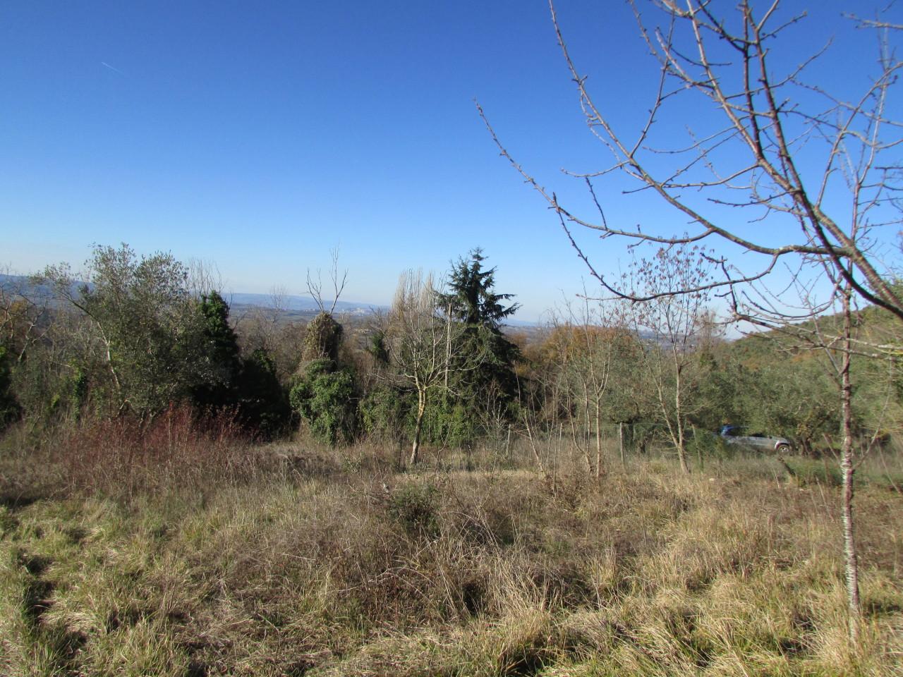 Vendita Monovano, Massa Martana Vendita Monovano, Massa Martana foto