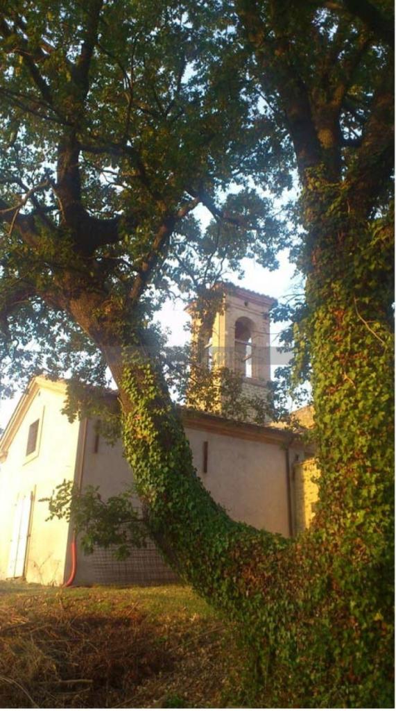 Vendita Pentavani, Torgiano Vendita Pentavani, Torgiano foto