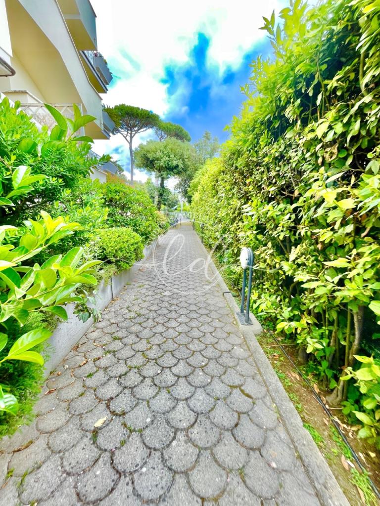 Affitto Trivani, Pietrasanta foto