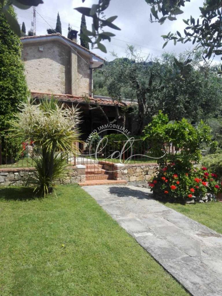 Affitto Quadrivani, Pietrasanta Affitto Quadrivani, Pietrasanta foto