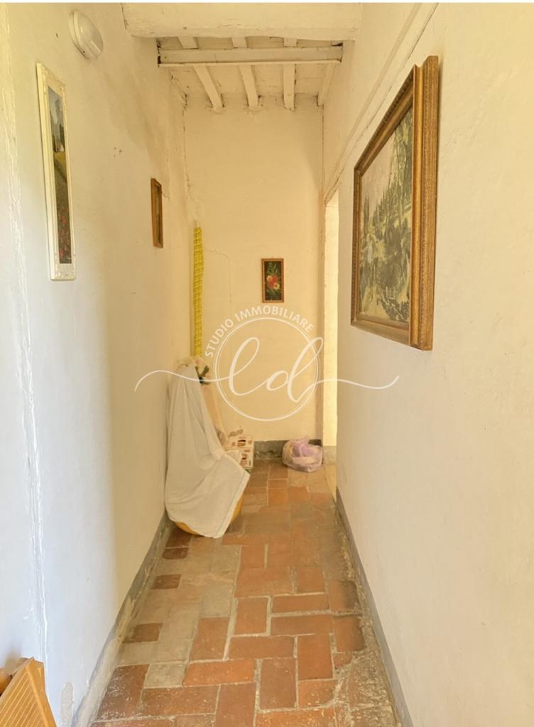 Vendita Bivani, Seravezza foto