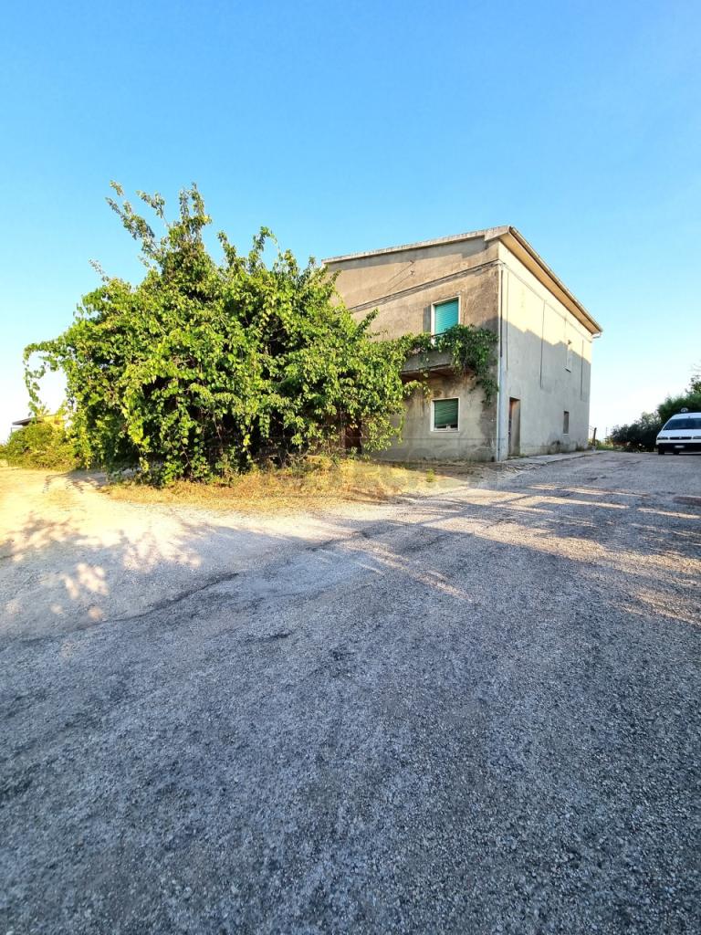 Vendita Multivani, Pescara foto