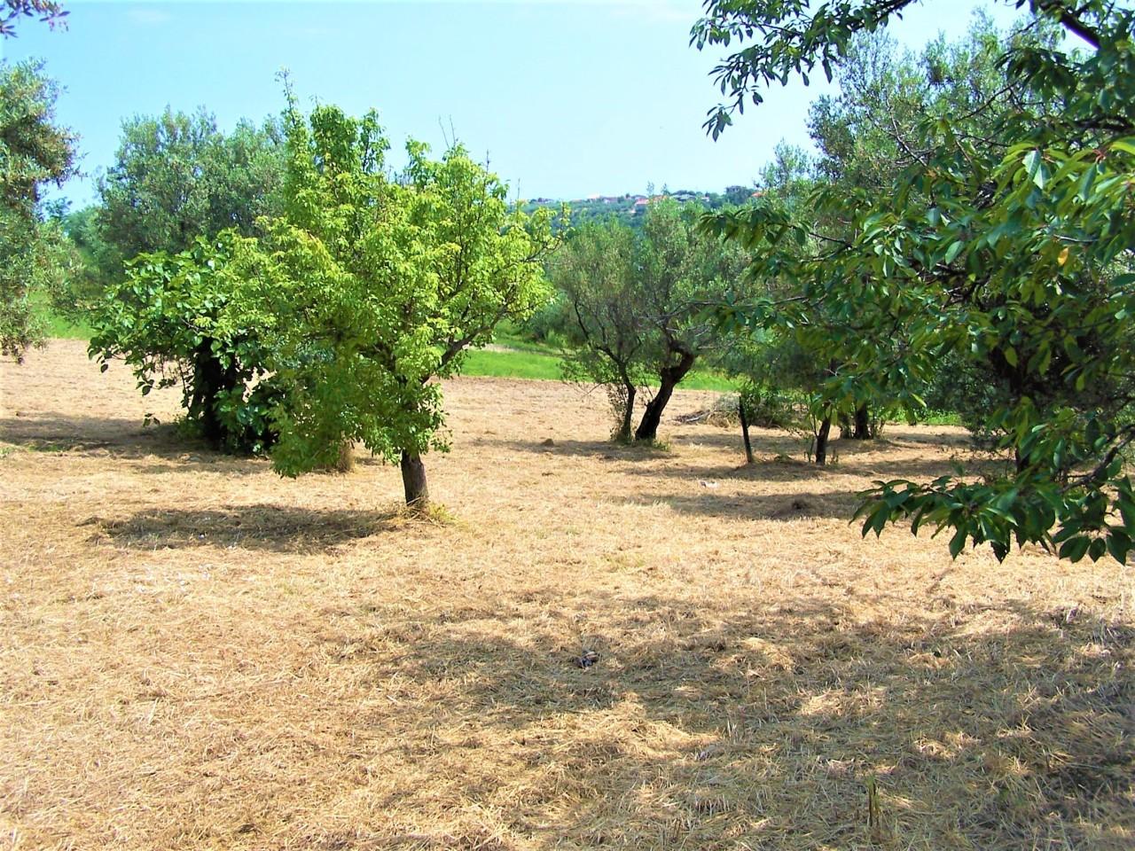 Vendita Terreni, Treglio foto