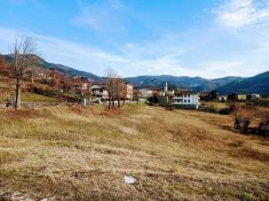 Vendita Pentavani, Coli Vendita Pentavani, Coli