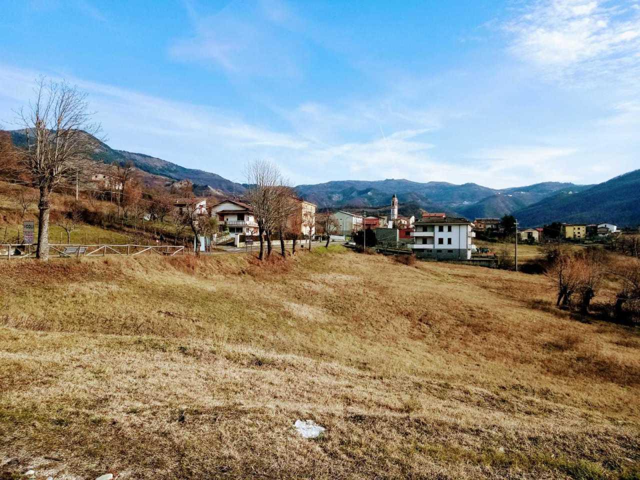 Vendita Pentavani, Coli Vendita Pentavani, Coli foto