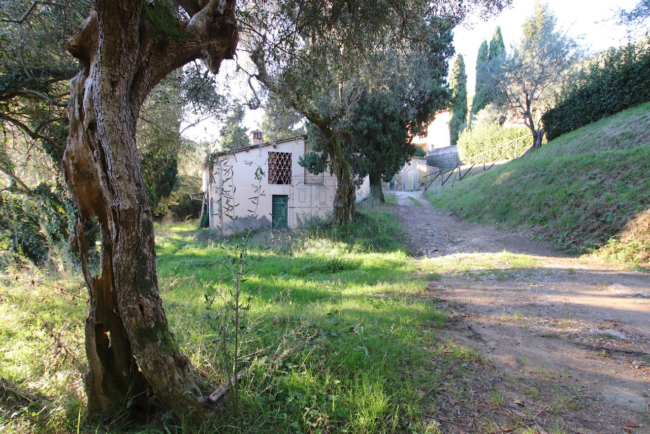 Vendita Multivani, Lucca foto