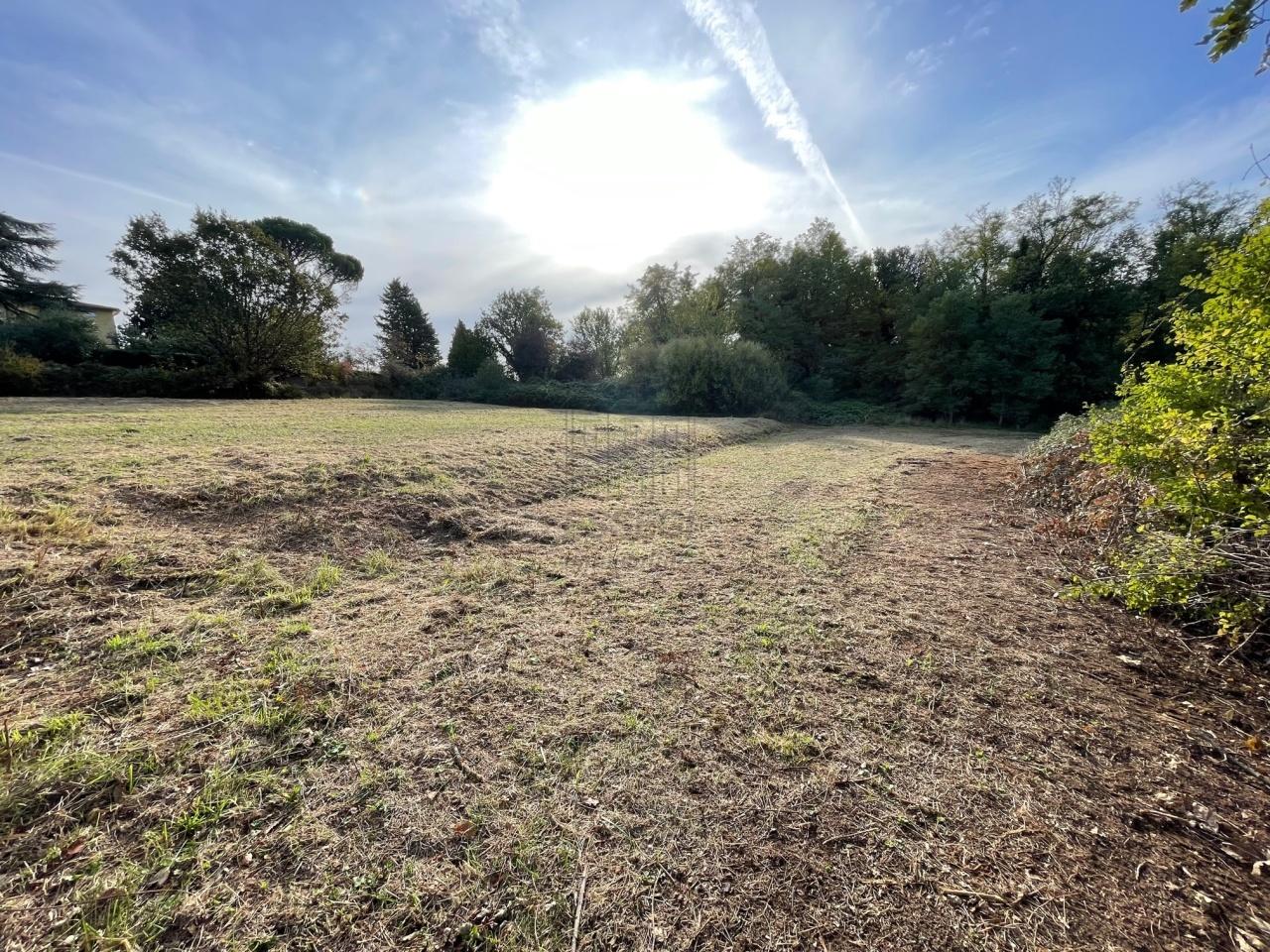 Vendita Bivani, Lucca foto