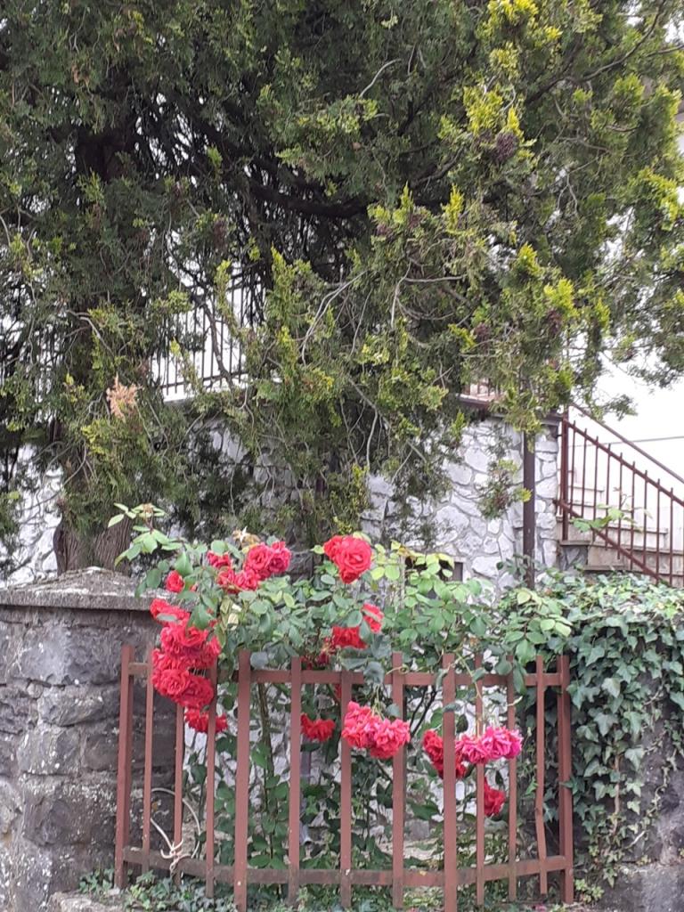 Vendita Case, Fivizzano foto