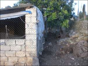 Vendita Bivani, Modica