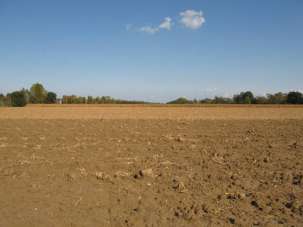 Vendita Monovano, Falconara Marittima Vendita Monovano, Falconara Marittima