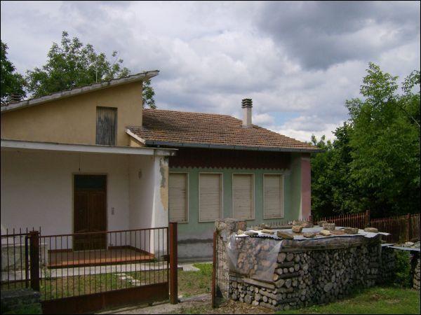 Vendita Pentavani, Force foto