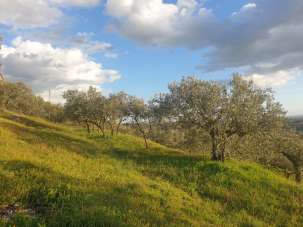 Vendita Terreni, Lugnano in Teverina Vendita Terreni, Lugnano in Teverina