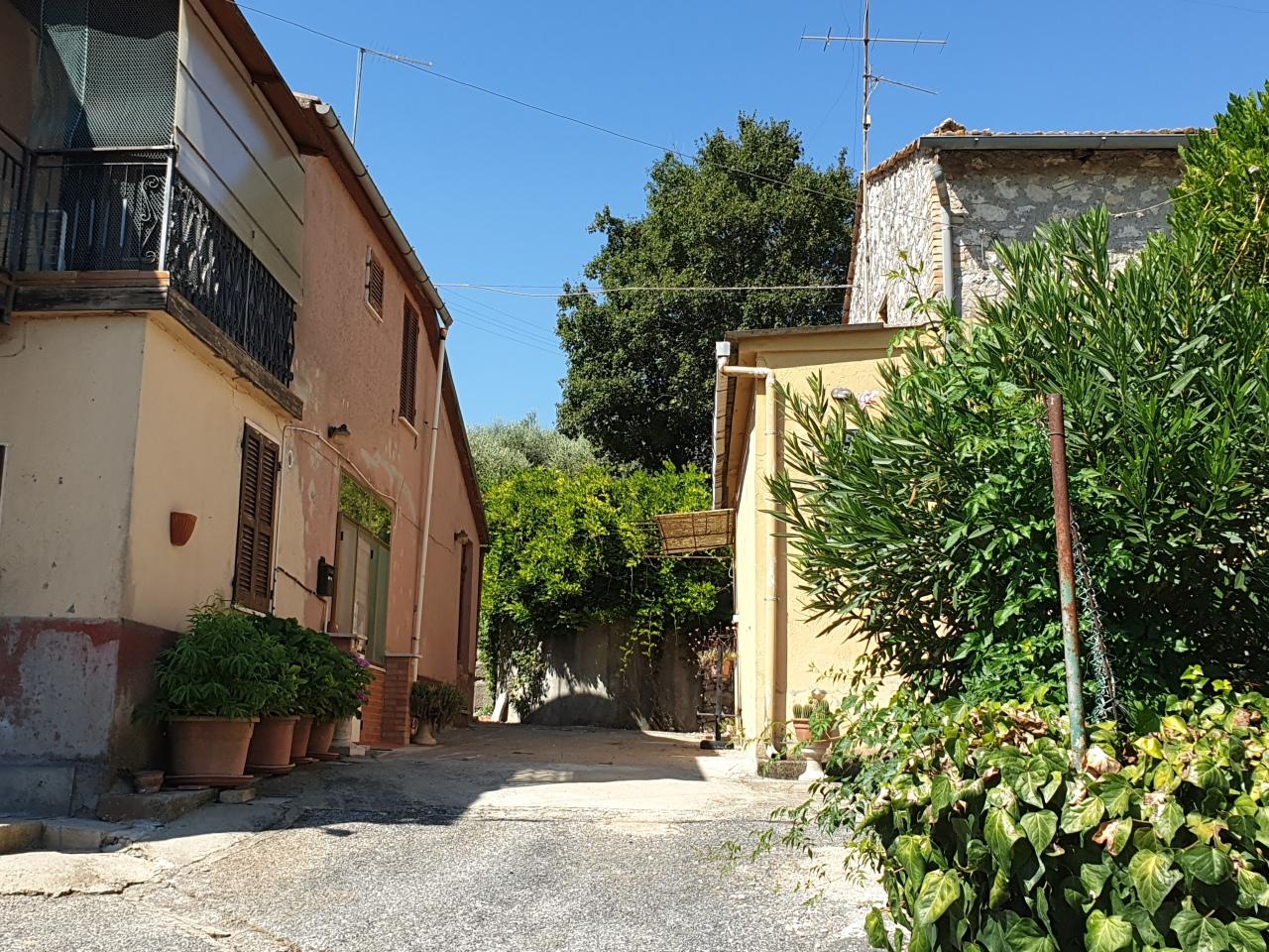 Vendita Multivani, Lugnano in Teverina Vendita Multivani, Lugnano in Teverina foto