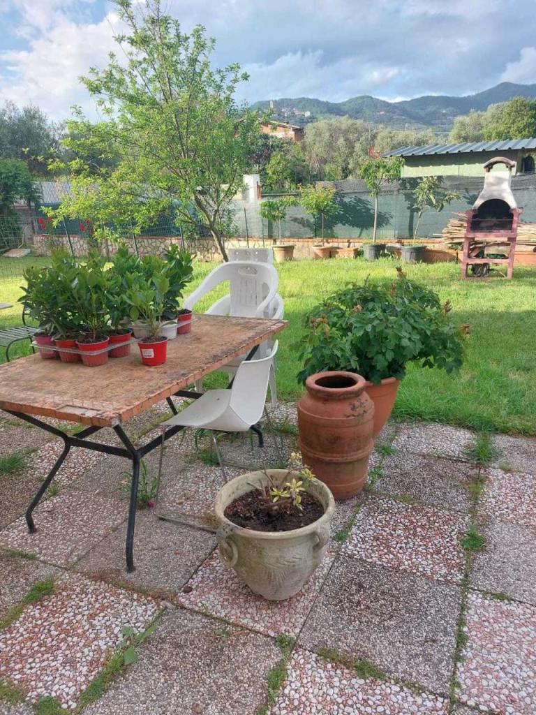 Vendita Multivani, Castelnuovo Magra Vendita Multivani, Castelnuovo Magra foto