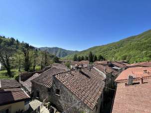 Vendita Multivani, Licciana Nardi