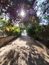 Vendita Multivani, Siracusa