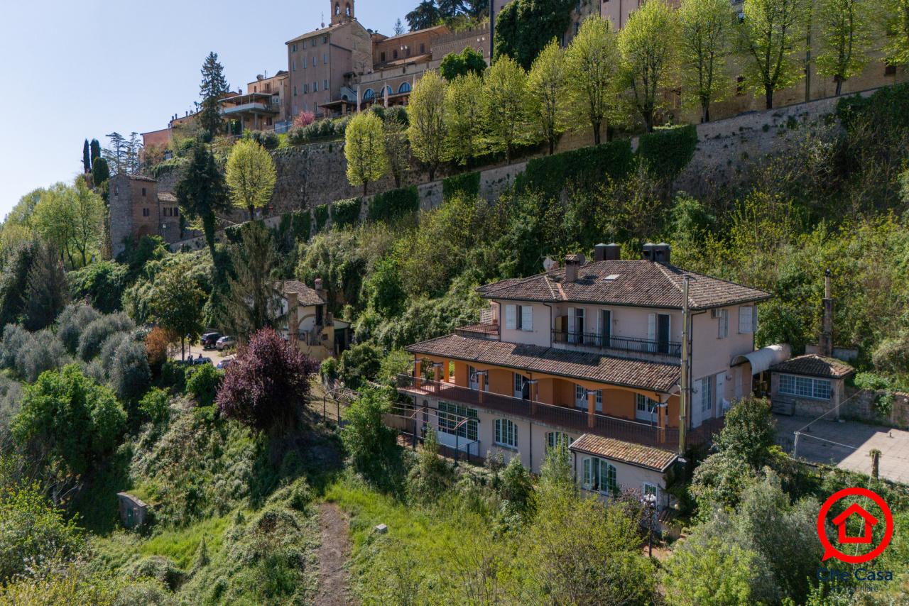 Vendita Multivani, Bertinoro foto