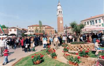 Affitto Bivani, Mirano