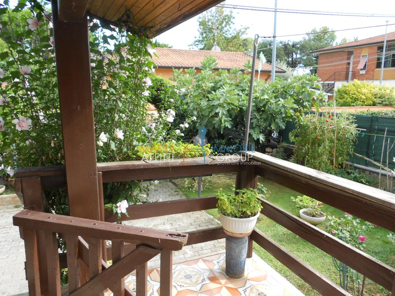 Vendita Multivani, Massa Vendita Multivani, Massa foto