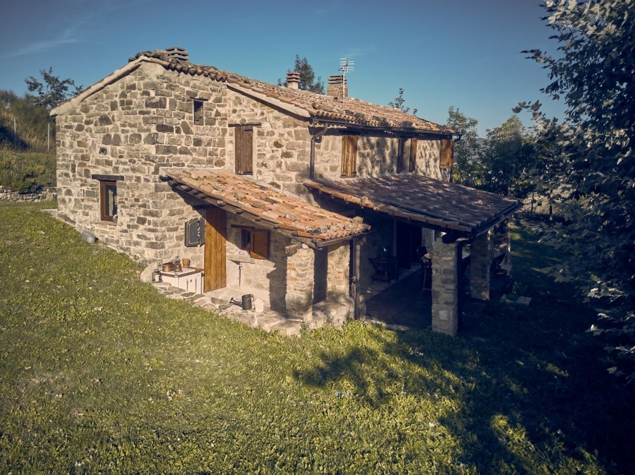 Vendita Multivani, Novafeltria foto