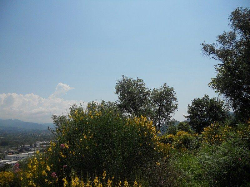 Vendita Terreni, Arcola foto