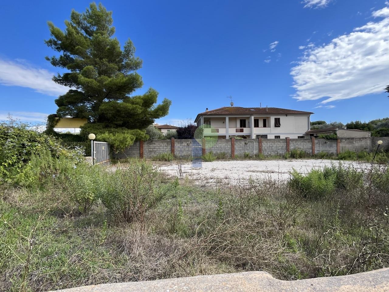 Affitto Quadrivani, Livorno foto