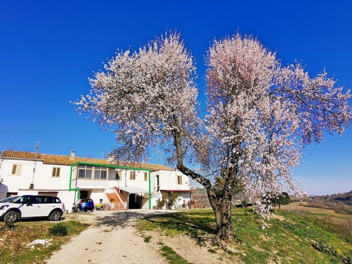 Vendita Case, Penne foto