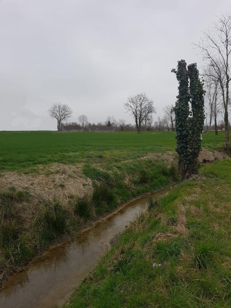 Vendita Esavani, Noale foto