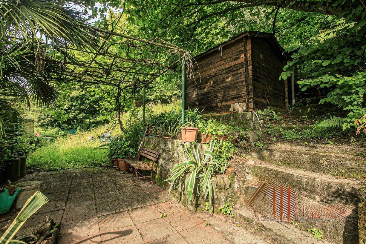 Vendita Pentavani, Genova Vendita Pentavani, Genova foto