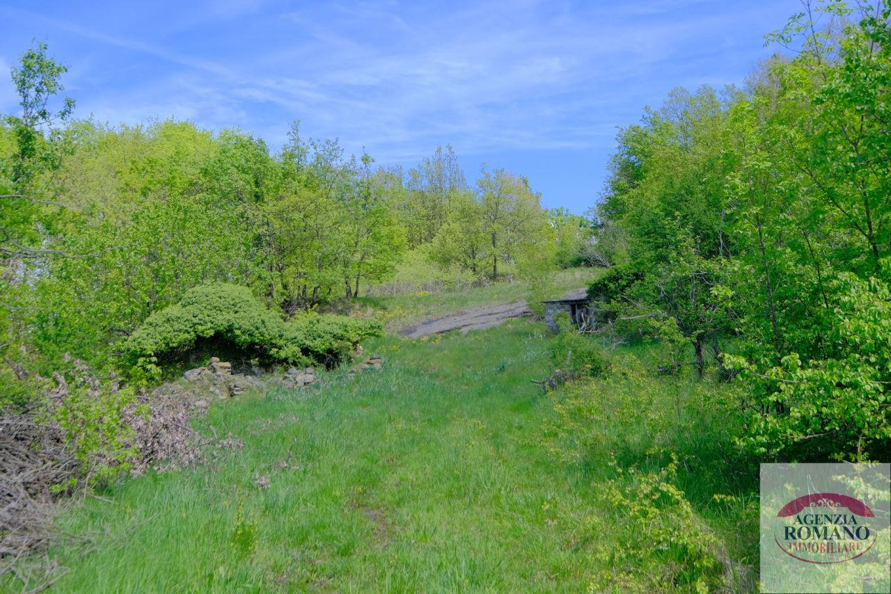 Vendita Pentavani, Giusvalla Vendita Pentavani, Giusvalla foto