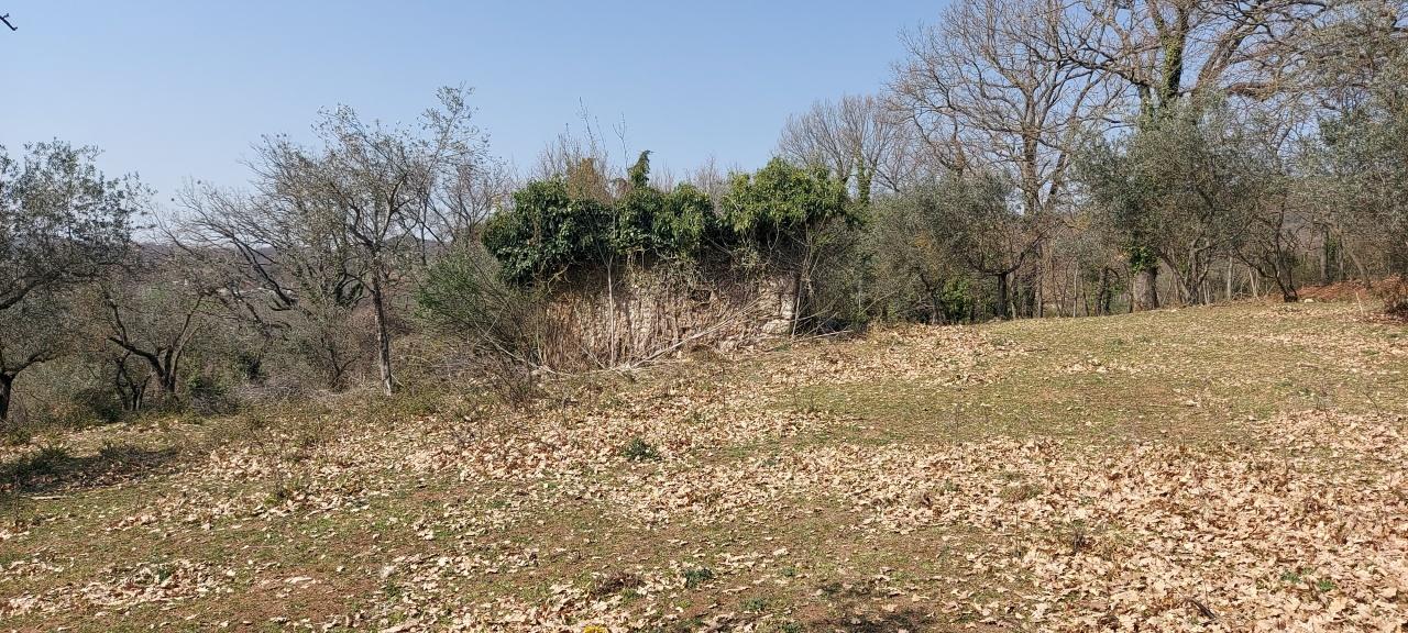 Vendita Bivani, Massa Martana foto