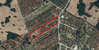 Vendita Terreni, Monopoli