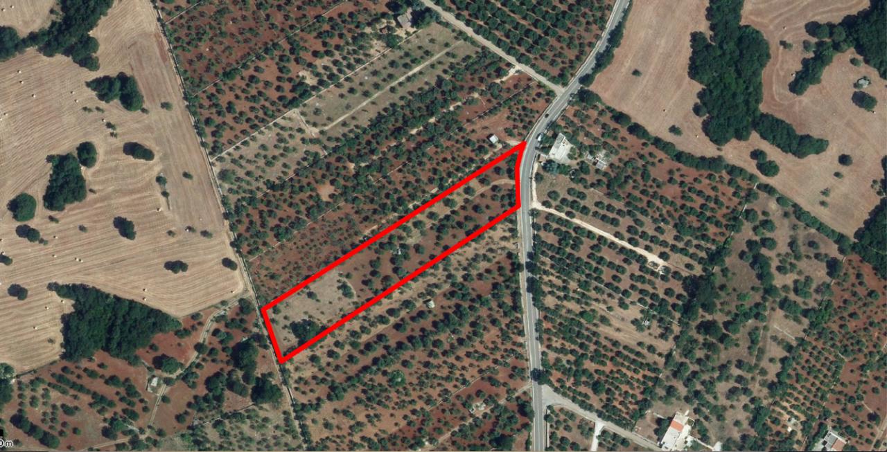 Vendita Terreni, Monopoli foto