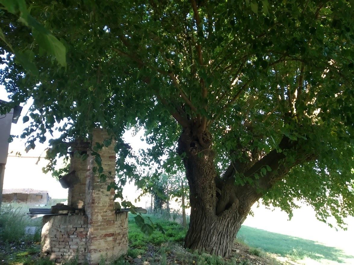 Vendita Case, Jesi foto