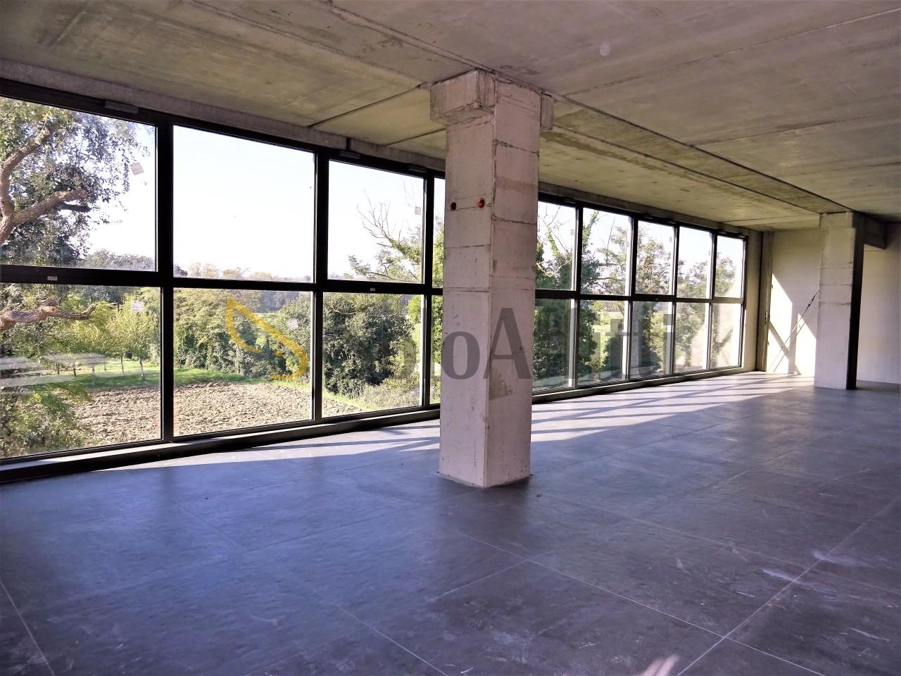 Affitto Monovano, Senigallia foto
