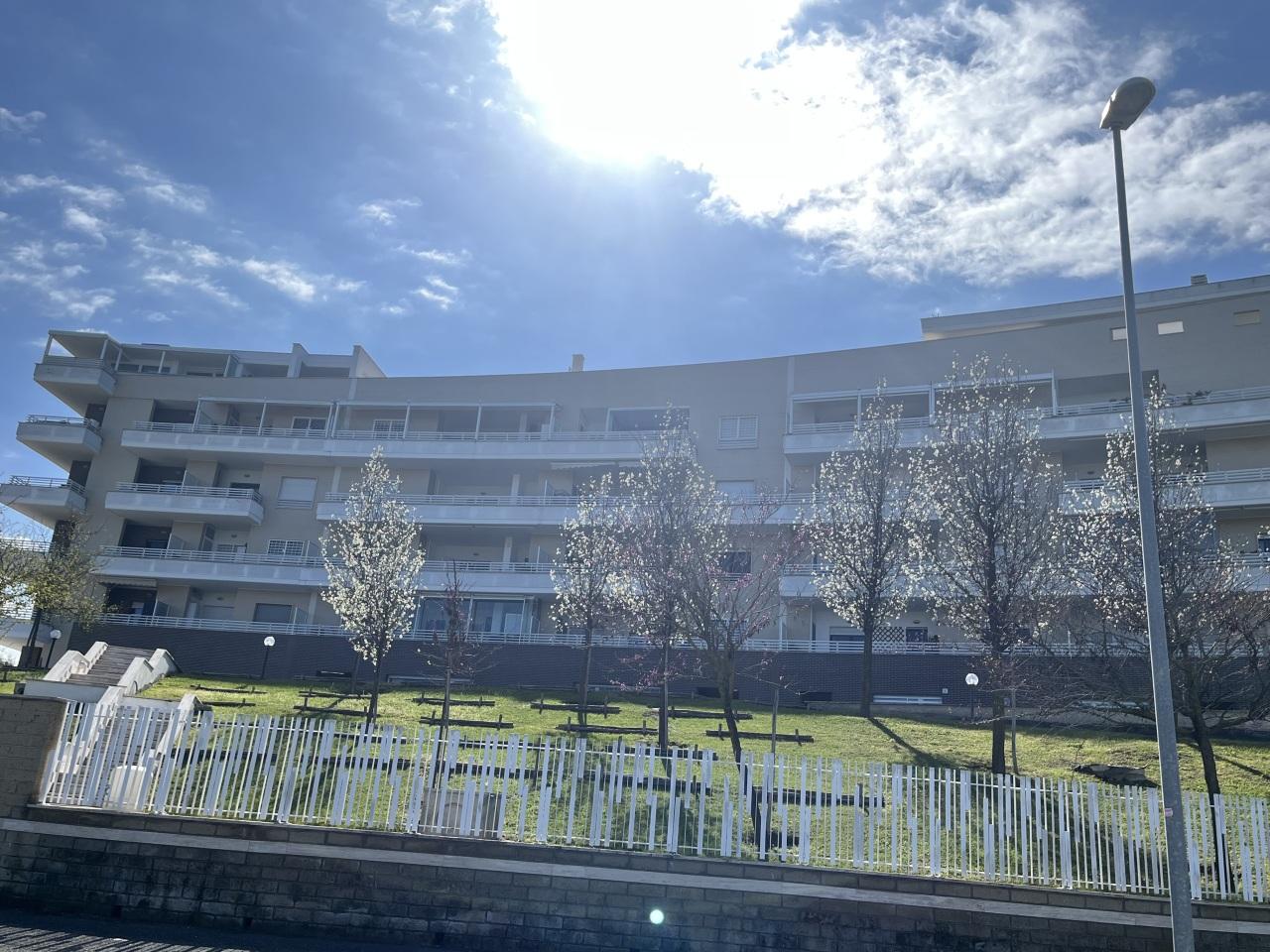 Vendita Bivani, Roma foto