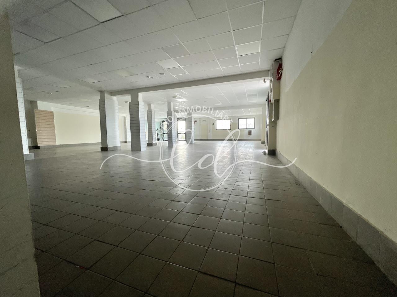 Affitto Monovano, Pietrasanta foto