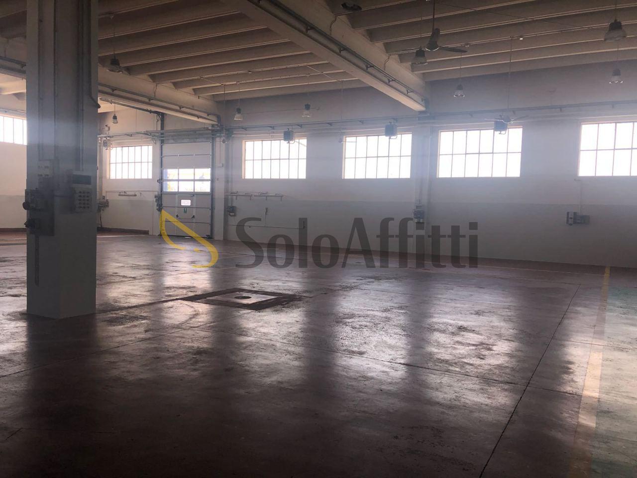 Affitto Multivani, Spoltore foto