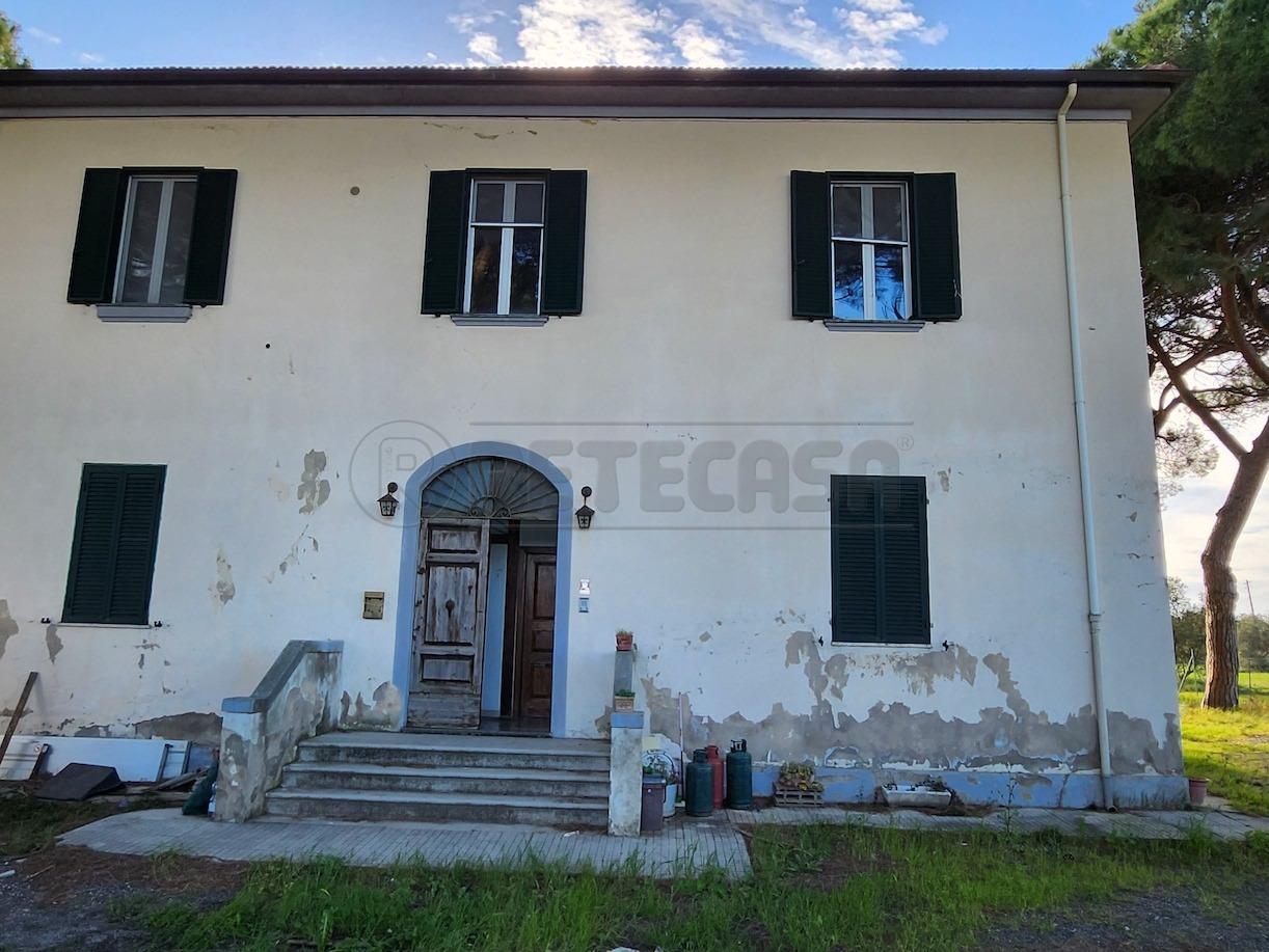 Vendita Multivani, Cecina foto