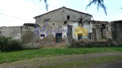 Vendita Esavani, Cesena Vendita Esavani, Cesena