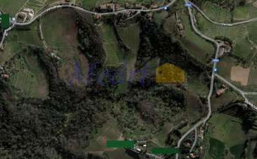 Vendita Terreni, Bertinoro Vendita Terreni, Bertinoro