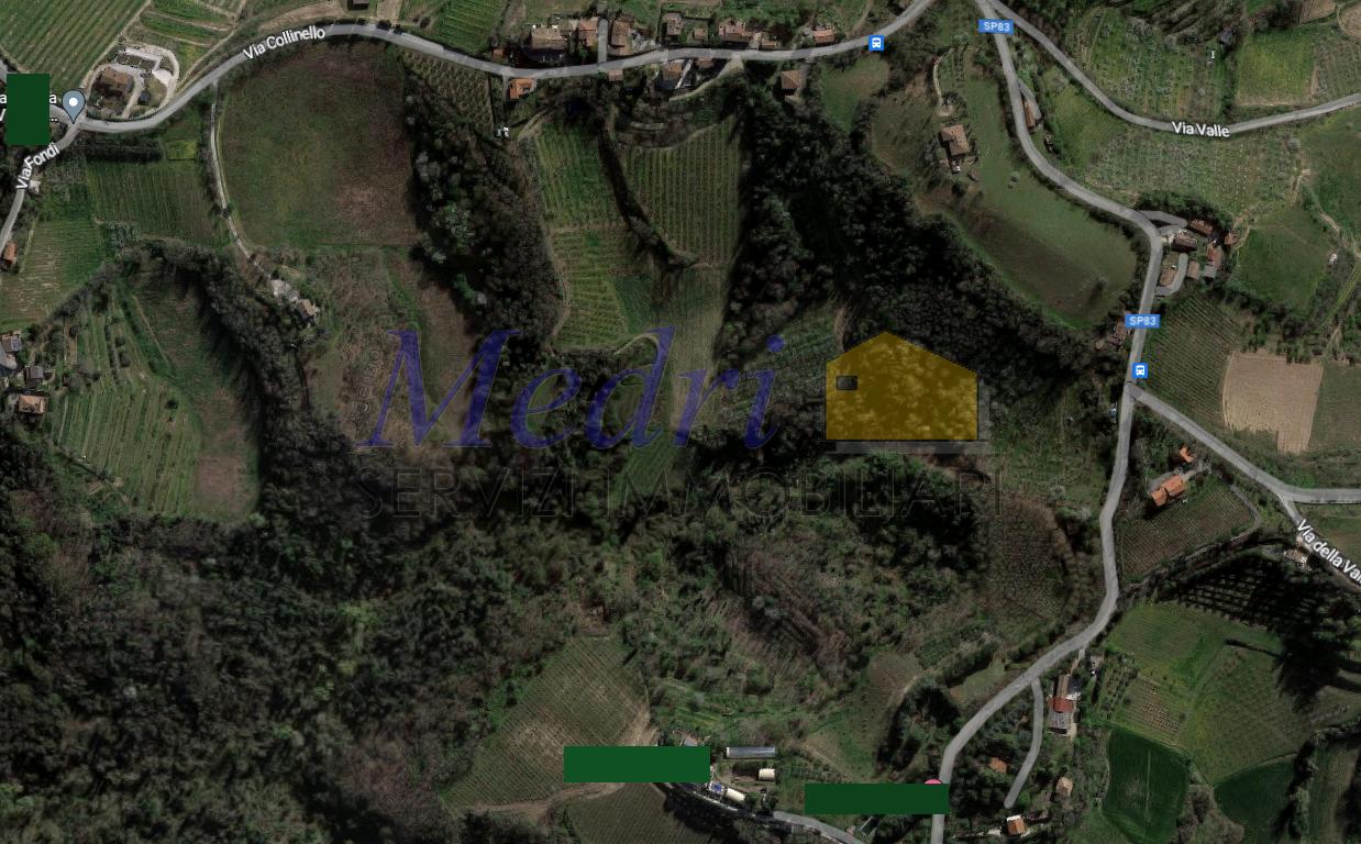 Vendita Terreni, Bertinoro foto