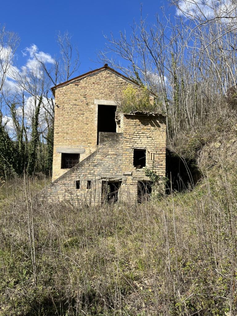 Vendita Esavani, Offida foto