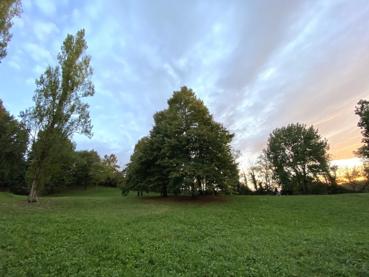 Vendita Monovano, Albinea Vendita Monovano, Albinea foto