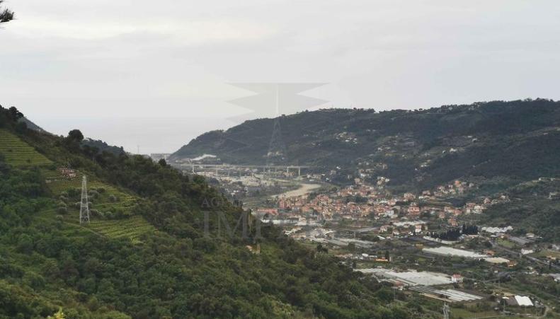 Vendita Quadrivani, San Biagio della Cima foto