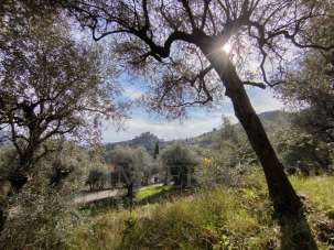 Vendita Monovano, Ventimiglia Vendita Monovano, Ventimiglia