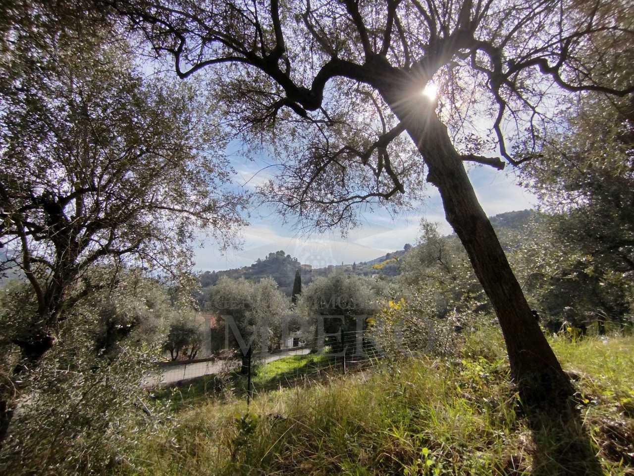 Vendita Monovano, Ventimiglia foto