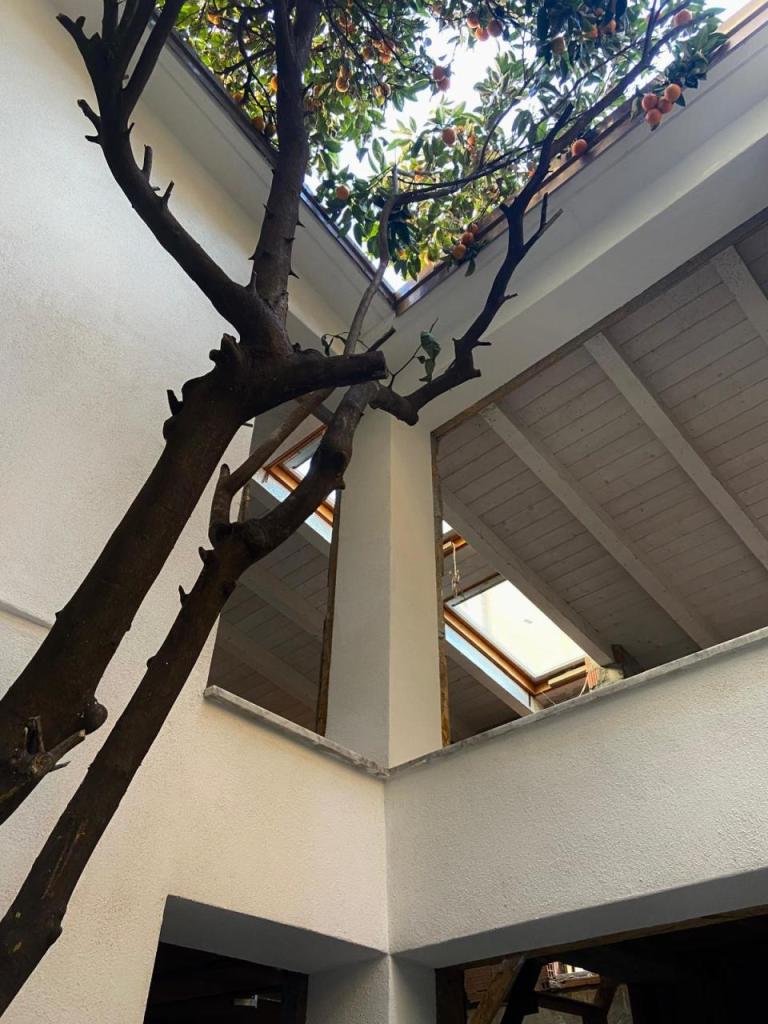 Vendita Quadrivani, Sarzana foto